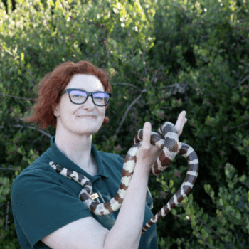 Spectacular Snakes with Sam Wynns